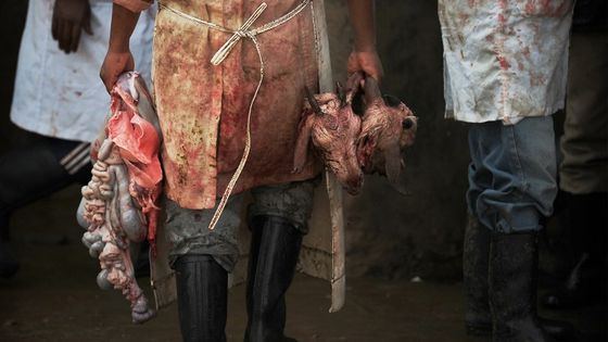 Un abattoir au Kenya en 2017 ©AFP - TONY KARUMBA