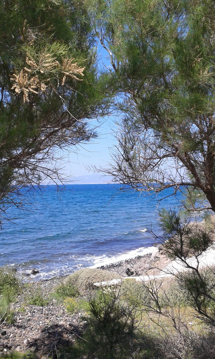 Plage grecque de Santorin