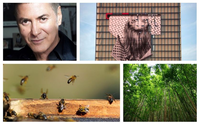 Etienne Daho · Façade de la BNF avec une oeuvre de JR · Abeilles · Forêts de bambous