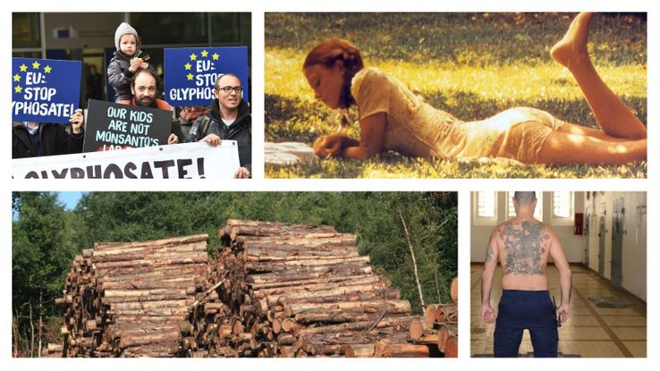 Glyphosate, Lolita, bois et prison