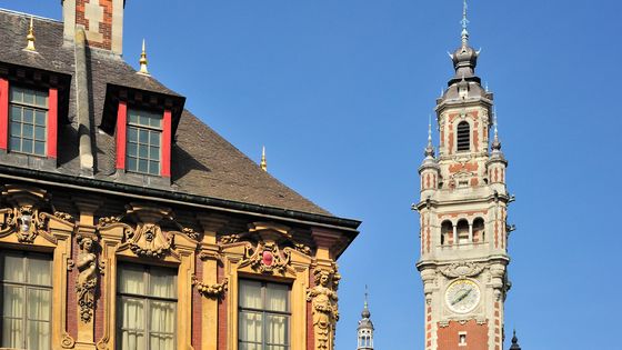 Vue du Vieux-Lille ©Getty - Arterra