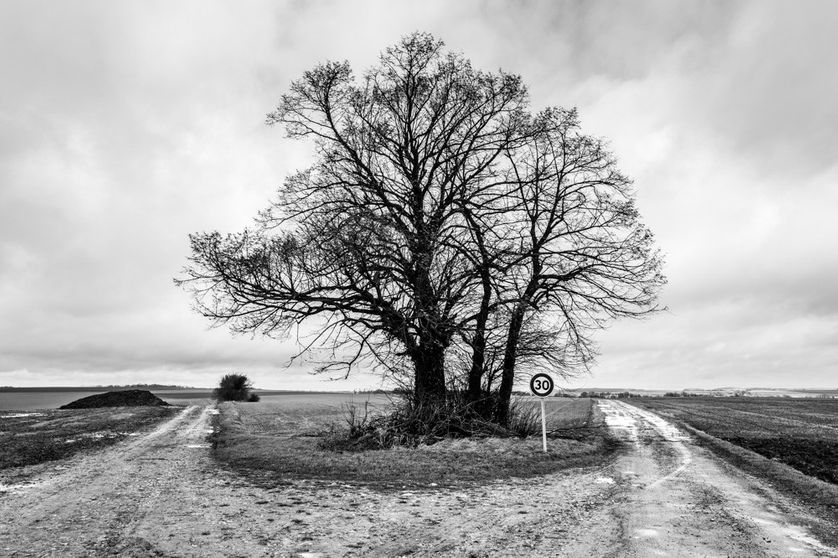 Au sortir de la guerre , tout le territoire était classé en "zone rouge", incultivable, inconstructible, inhabitable.