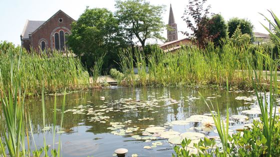 Eglise de Nègrepelisse - Aurore Deffrène