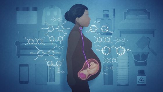 Demain, tous crétins ? un documentaire de Thierry de Lestrade et Sylvie Gilman - © ARTE France - CNRS Images - Yuzu Productions