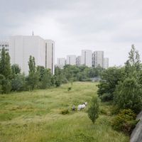 Le cheval de trait de Roger des Près sur le Grand Axe, Nanterre, 2008