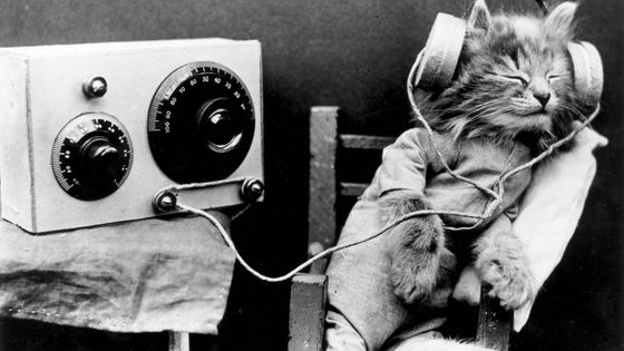 Janvier 1926 - Un chat écoutant une radio ©Getty - Monty Fresco/Topical Press Agency
