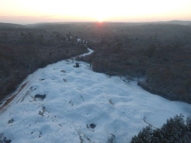 Le sol bouleversé de la forêt de Verdun