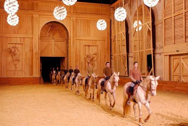 Le manège de l'Académie Équestre de Versailles