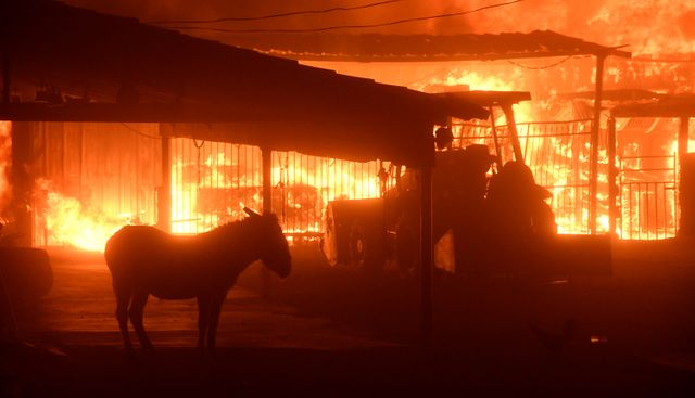 Les flammes font rage à Los Angeles