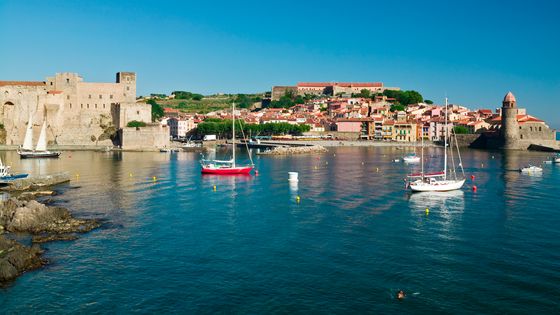 La mairie de Collioure (Pyrénées occidentales) a mis en place une campagne de prévention pour changer les habitudes et éviter que les mégots, déjections canines, papiers gras n'arrivent dans les eaux de baignade, voire sur la plage ©Getty - Yann Guichaoua-Photos
