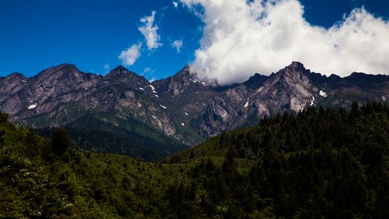 Chaînes de montagnes avec des forêts à proximité de la frontière de l'Inde et de la Chine. ©Getty - Photography by Abhey Singh