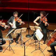 Haydn | Quatuor à cordes en sol majeur op. 33 n° 5 - Finale par le Quatuor Hanson