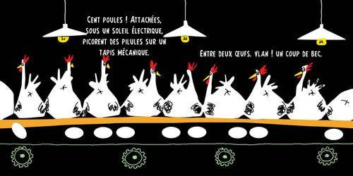 Illustration issue de "Un mur sur une poule" aux éditions Gulf Stream