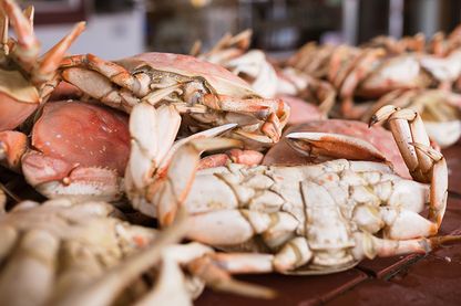 Crabes Crabes
