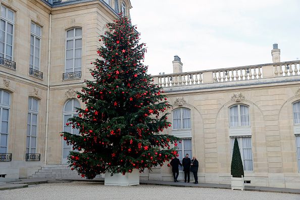 Le sapin de Noël de la cour de l'Elysée, à Paris, en décembre 2016.