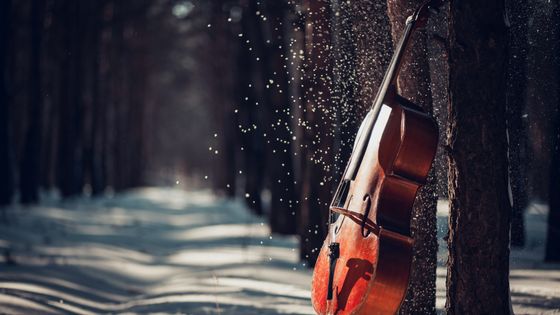 Cello in winter forest ©Getty - Oleh Slobodeniuk