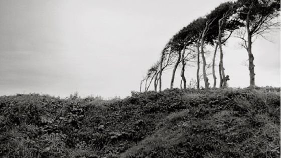 "Côte normande", 2003 tirage argentique - format exposé 50 x 50 cm. - Jean-Luc Chapin