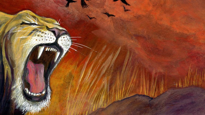 Illustration issue de l'album "Le Lion qui avait perdu sa crinière" (éditions Cipango)