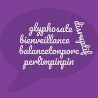 Cinq mots parmi la longue liste des termes qui ont marqué l'année 2017.