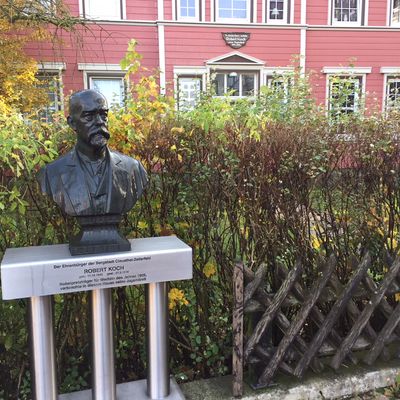 Buste de Robert Koch devant sa maison natale à Clausthal-Zellerfeld