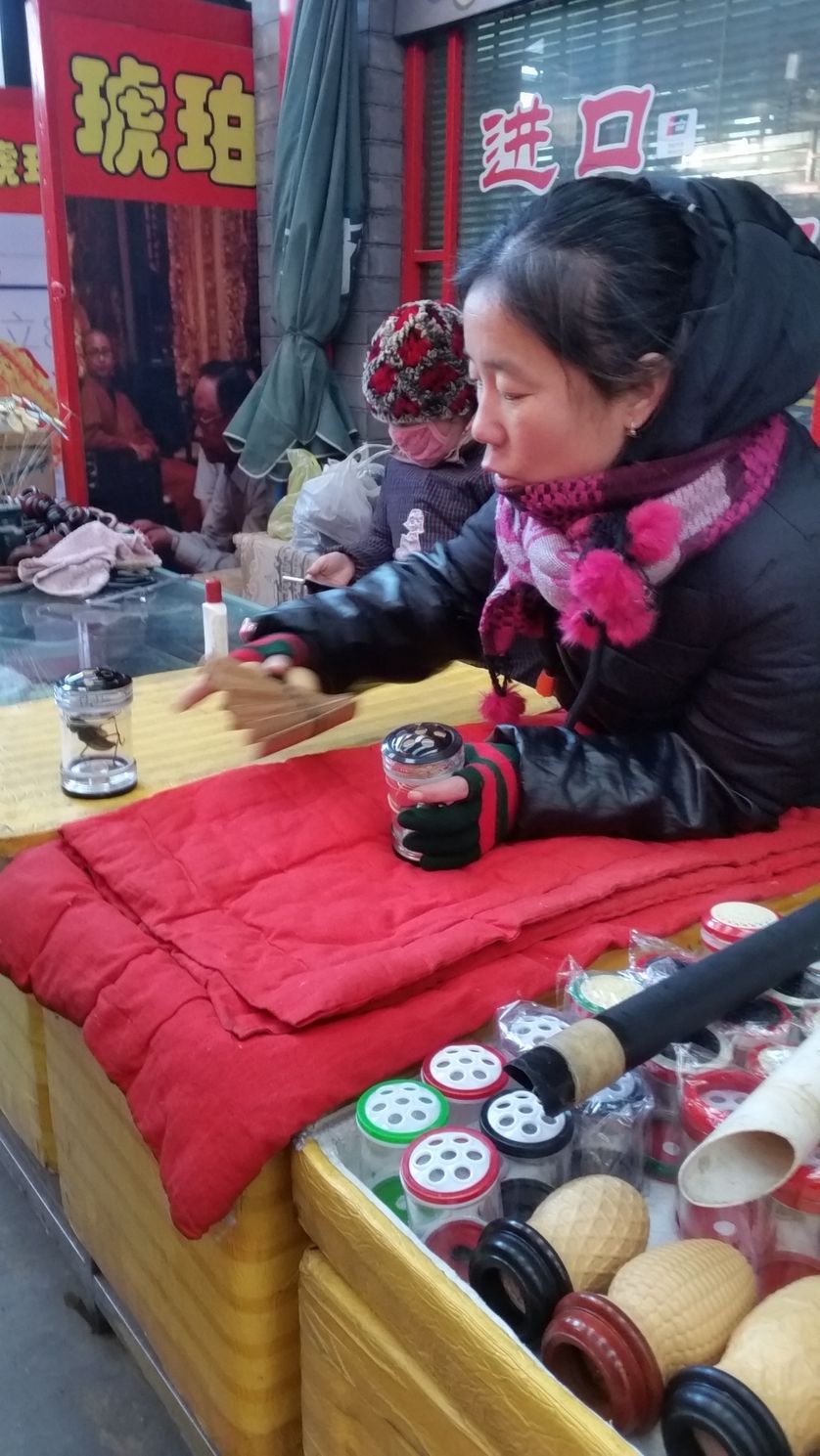 Au marché aux insectes de Pékin
