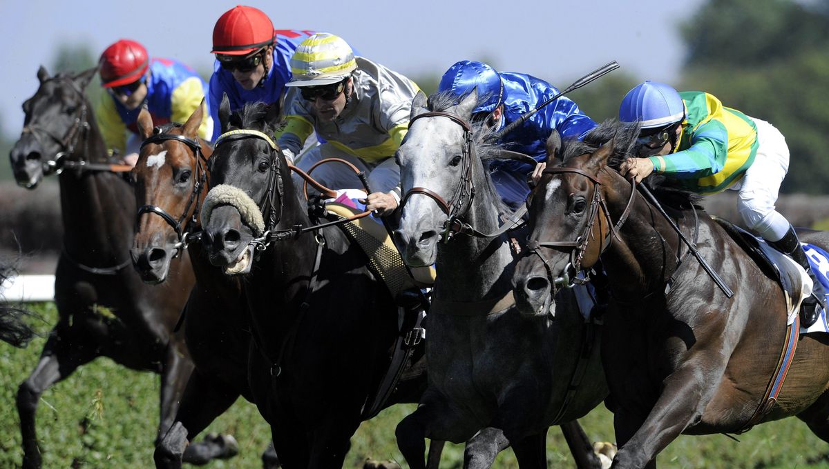 France Bleu Nord Pronostics Hippiques De Fortin