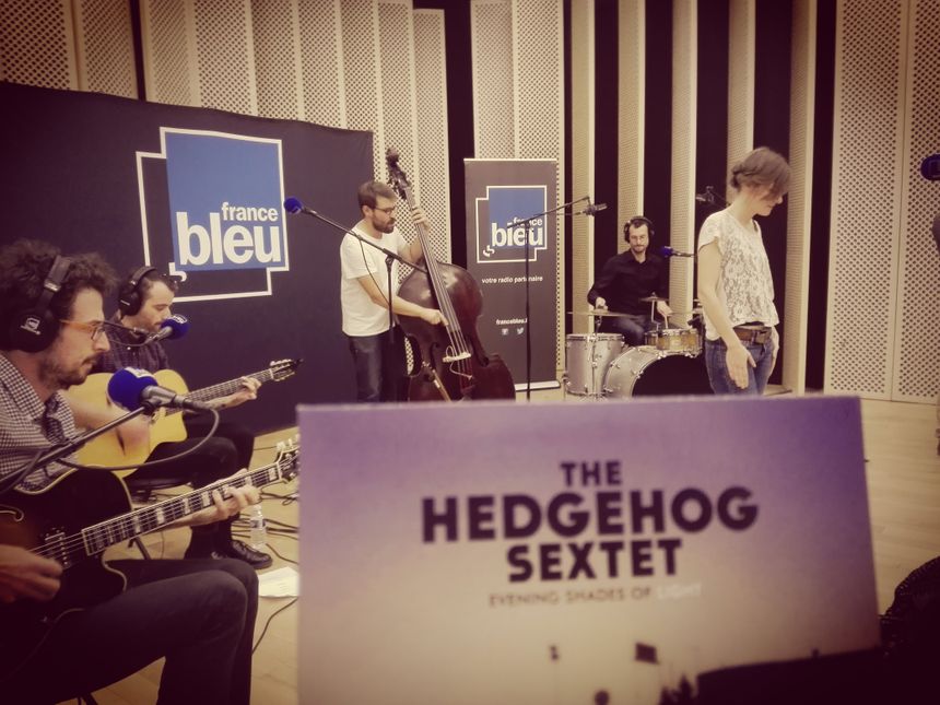 The Hedgehog Sextet