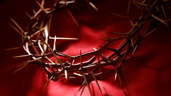 Couronne d'épines sur tissu de soie rouge ©Getty - Duckycards
