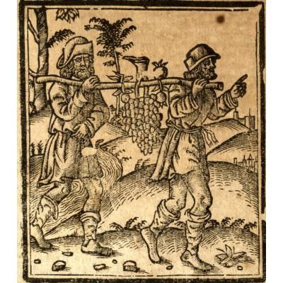 Bible latine XVIe siècle