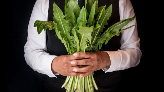 Bouquet de feuilles de pissenlit ©Getty - Dixie D. Vereen/For The Washington Post