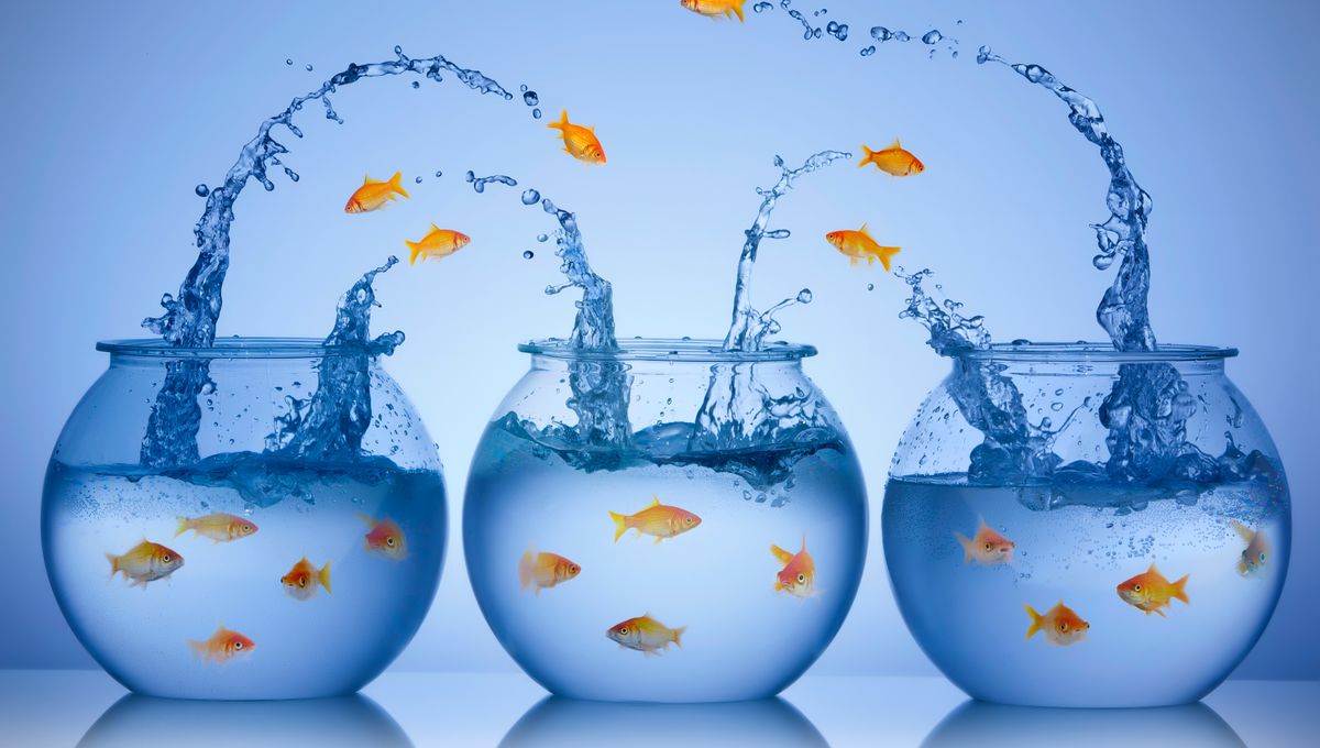 La Peur Du Changement La Peur Du Changement