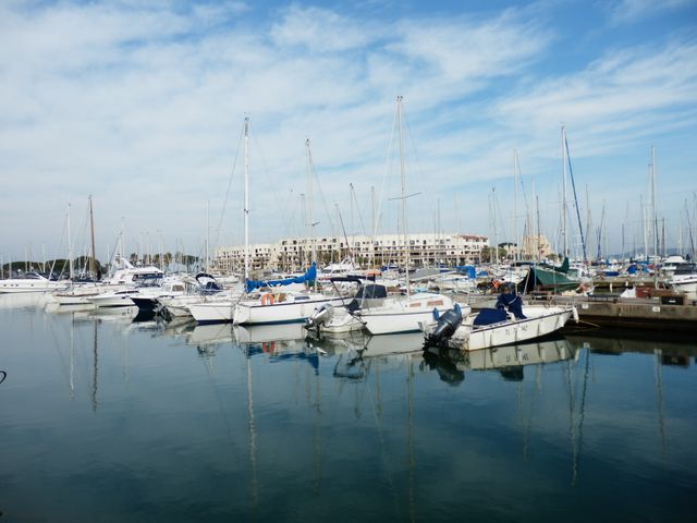 Certains Cogolinois s’interrogent sur la transparence du marché du port de Cogolin.