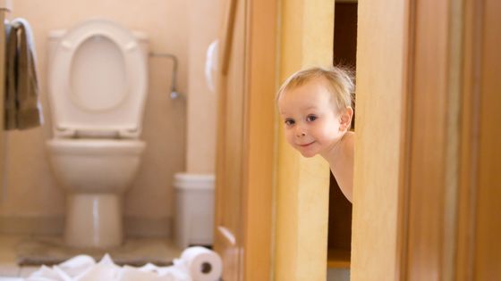Nous sommes tous égaux devant la lunette des toilettes ©Getty - Kelly Sillaste