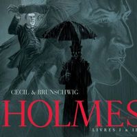 Holmes (1854-1891) Pack en 2 volumes : Tome 1, L'adieu à Baker Street ; Tome 2, Les liens du sang de Cecil et Luc Brunschwig
