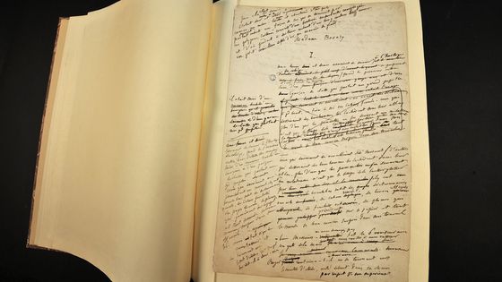 Photo prise à Rouen d'une page du manuscrit du roman de Gustave Flaubert, Madame Bovary. ©AFP - ROBERT FRANCOIS