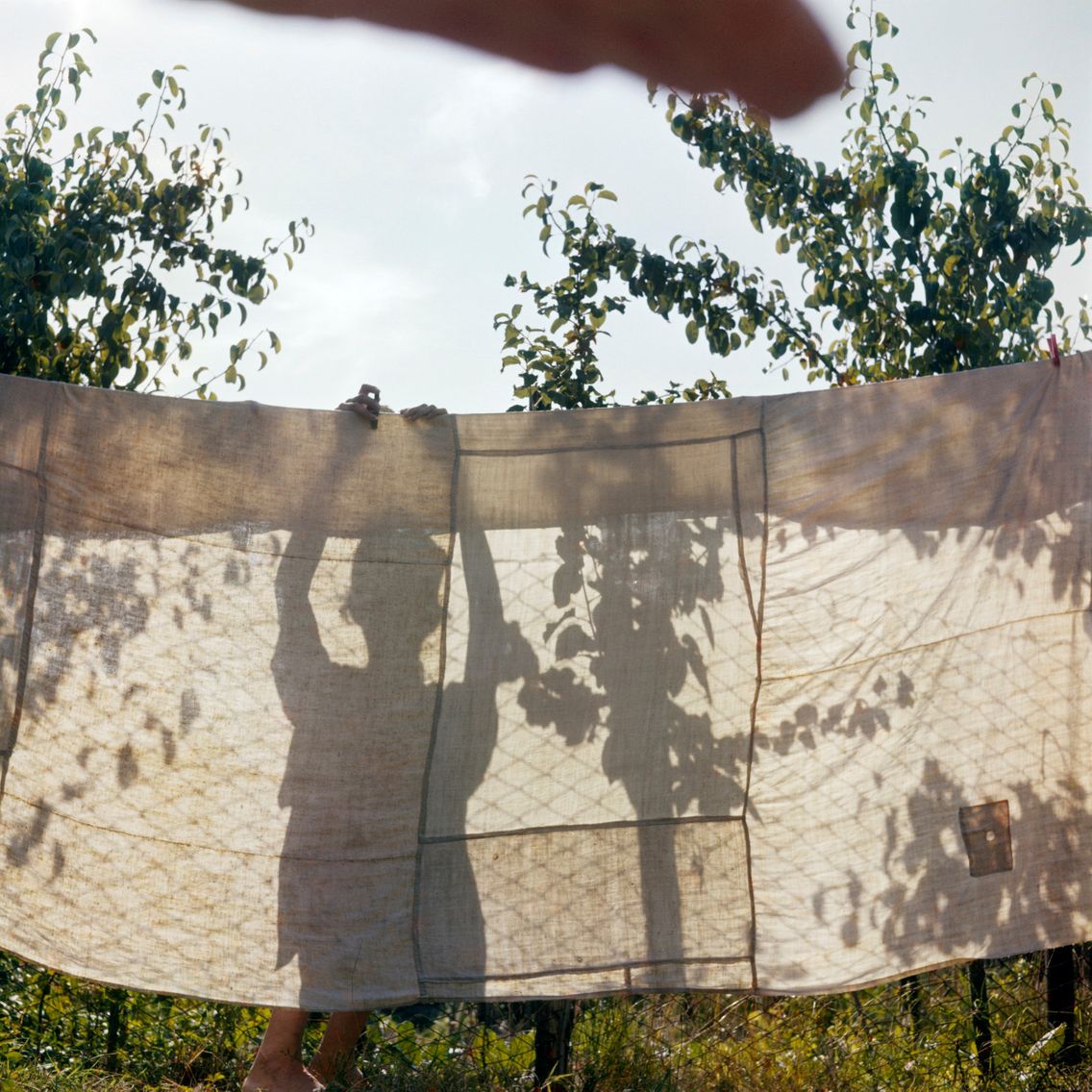 Jacques Henri Lartigue Mon Piege D œil Etait Une Chose Que J Avais Invente