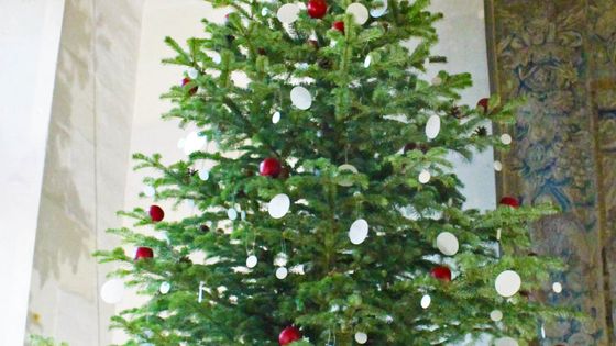 Sapin suspendu au plafond, tradition - Château d'Amboise/Leonard de Serres
