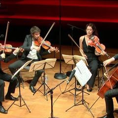 Haydn | Quatuor à cordes en sol majeur op. 33 n° 5 - Scherzo par le Quatuor Hanson