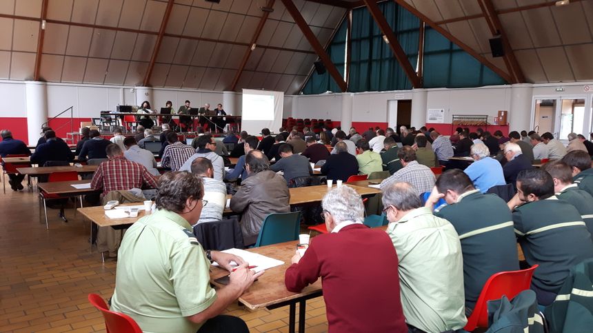Labouheyre vente de bois