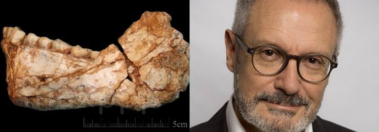 La mandibule Irhoud 11 trouvée lors des fouilles du site, Jebel Irhoud / Jean-Jacques Hublin• Crédits : UPI/MAXPPP/WikiCommons - Maxppp