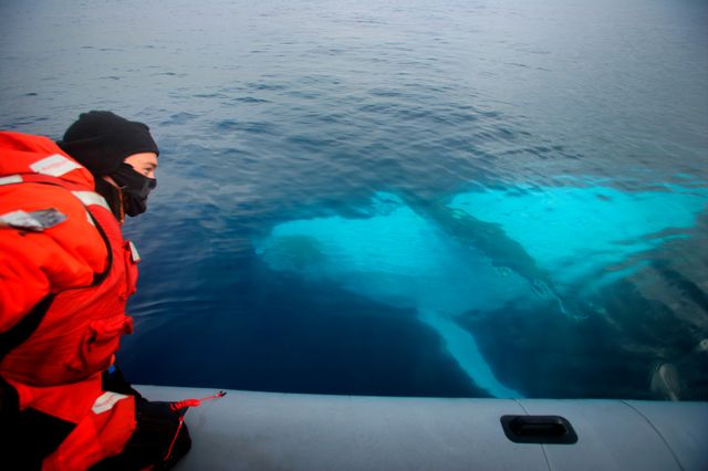 Greenpeace espère documenter la vie sous-marine en mer de Weddel