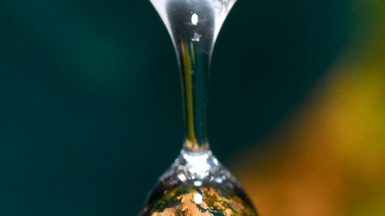 Une goutte d'eau dans laquelle se reflète la carte de la terre ©AFP - GERARD JULIEN