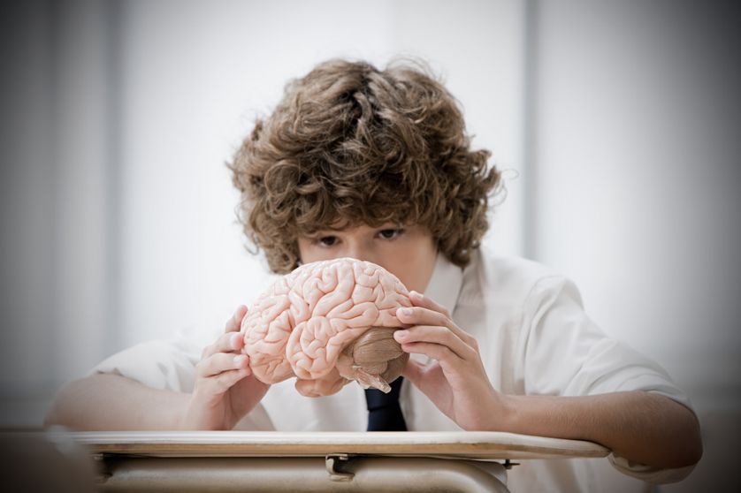 Un élève étudiant le fonctionnement du cerveau