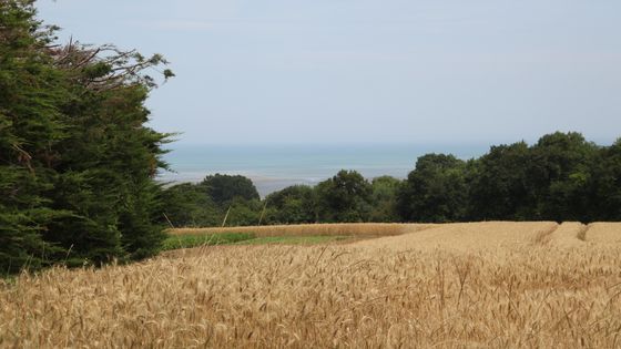 Langueux - Langueux