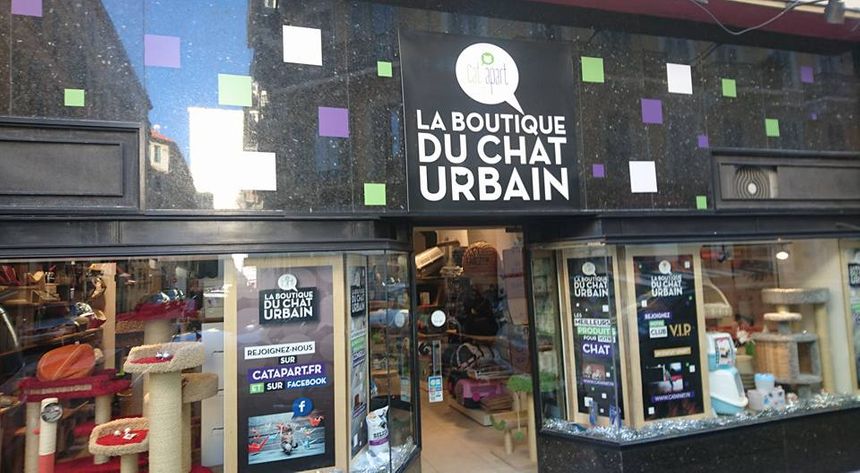La boutique du chat urbain, une première en France