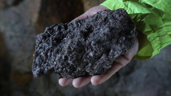 Zinnwaldite ©Getty - Sean Gallup