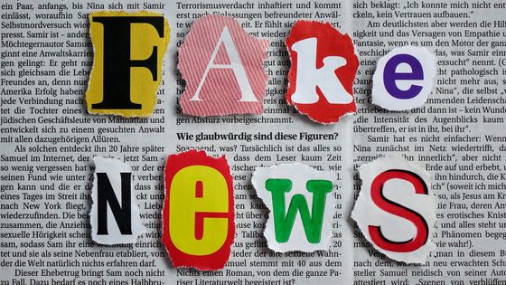 Face aux fake news, les Français plébiscitent la presse écrite et la radio ©AFP - SASCHA STEINACH / DPA-ZENTRALBILD / DPA