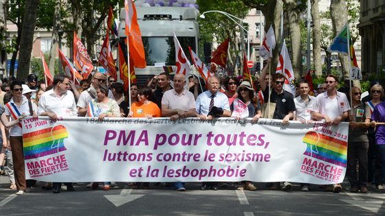 Des manifestants demandent l'accès à la PMA pour toutes, à Lyon, le 15 juin 2013 ©AFP - PHILIPPE DESMAZES