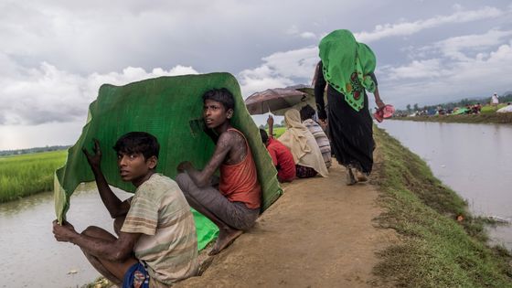Des réfugiés rohingyas s'abritent de la pluie à Palong Khali, à Cox's bazar, au Bangladesh (17/10/17) ©AFP - STRINGER / ANADOLU AGENCY