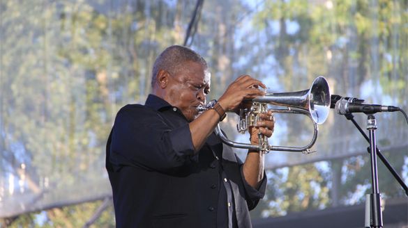 Hugh Masekela au festival Rio Loco 2015 / Guillaume Schnee